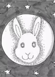 Image result for Rabbit First Use