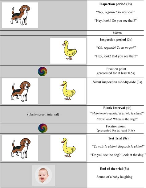“Look! It is not a bamoule!” 18- and 24-month-olds can use negative ...