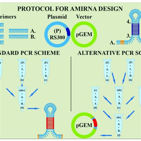 Image result for microRNA Design