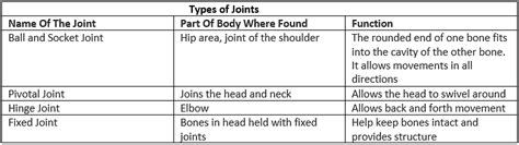Movement and Its Types - Science and Technology for UPSC CSE PDF Download