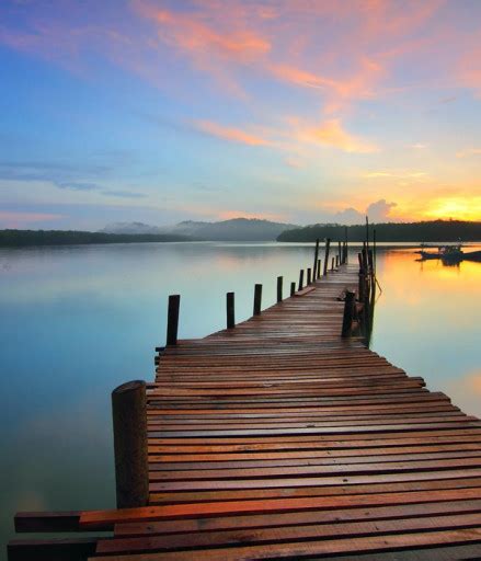 Scott Brocaille - 2022 - Roden Pryor Funeral Directors