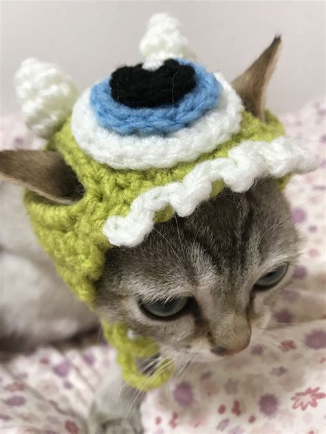 Cute Cat with Crocheted Hat