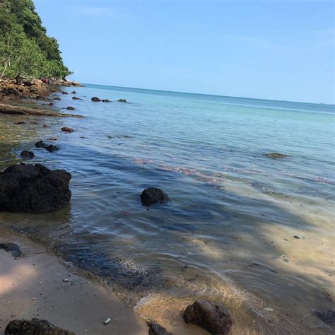 TANJUNG TUAN RECREATIONAL FOREST (2026) All You Need to Know BEFORE You ...