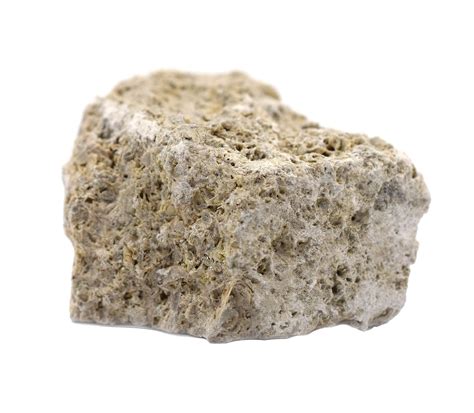 Buy 6PK Raw Fossiliferous Limestone, Sedimentary Rock Specimens ...