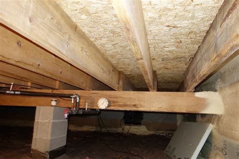 How To Treat Mold On Floor Joist at Angela Link blog