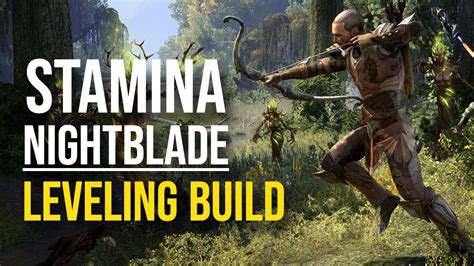 Image result for Speed Leveling Guide ESO