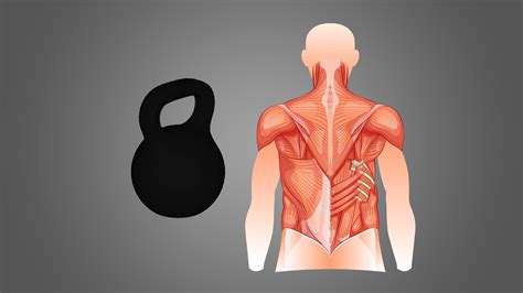 7 Best Lower Back Kettlebell Exercises (with Pictures!) - Inspire US