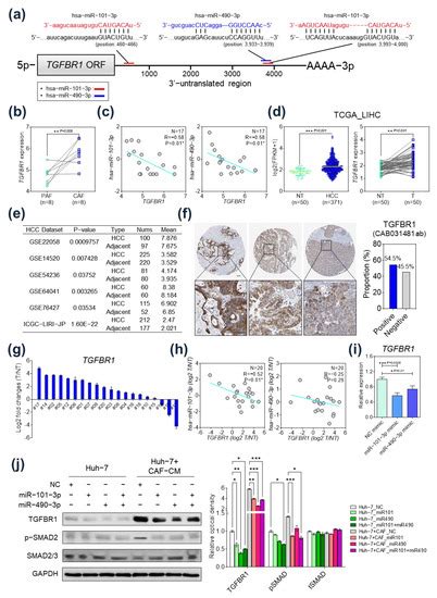Aberrantly Expressed MicroRNAs in Cancer-Associated Fibroblasts and ...