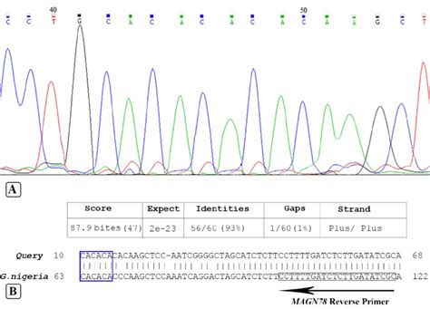 Image result for Electropherogram vs Chromatogram