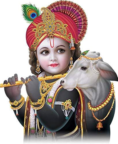 Buy Rangoli Vinyl Wall Sticker (1.96x20.86x1.96 inches, Multicolour ...