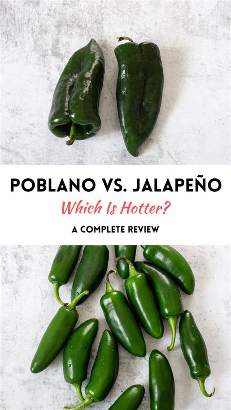 Poblano Vs Jalapeno: Which Is Hotter? Complete Review