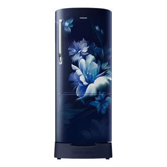 Buy 183L Single Door Refrigerator RR20D1823UZ | Samsung India