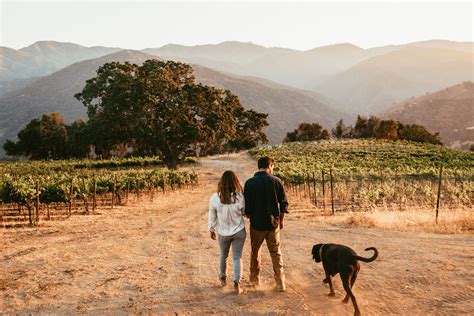 The Best Carmel Valley Wineries to Visit | Wine Enthusiast