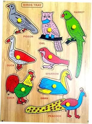 Cyrus Down Price Wooden Birds Board game educational Puzzle for Kids ...