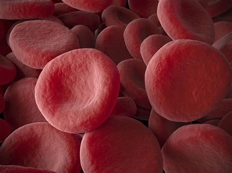 Undergrdute Math Major 的图像结果