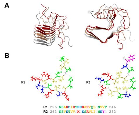 Biomolecules | Special Issue : Functional Amyloids