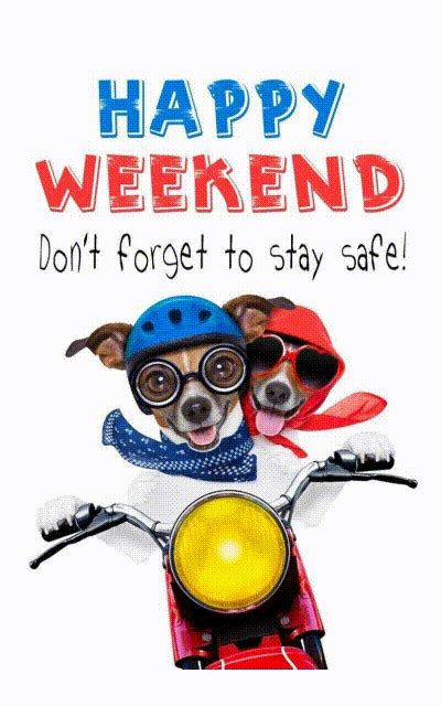 Happy Weekend GIFs - ExplorePic