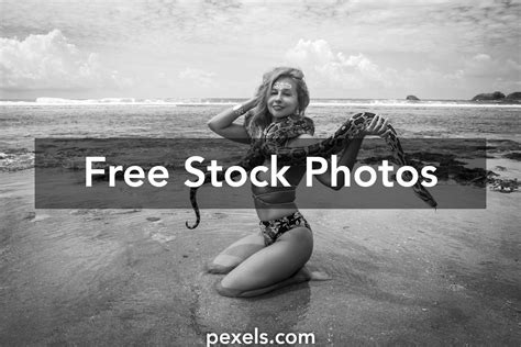 Image result for Python Model