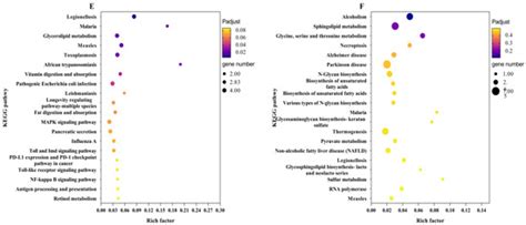 Immune Responses and Transcriptomic Analysis of Nilaparvata lugens ...