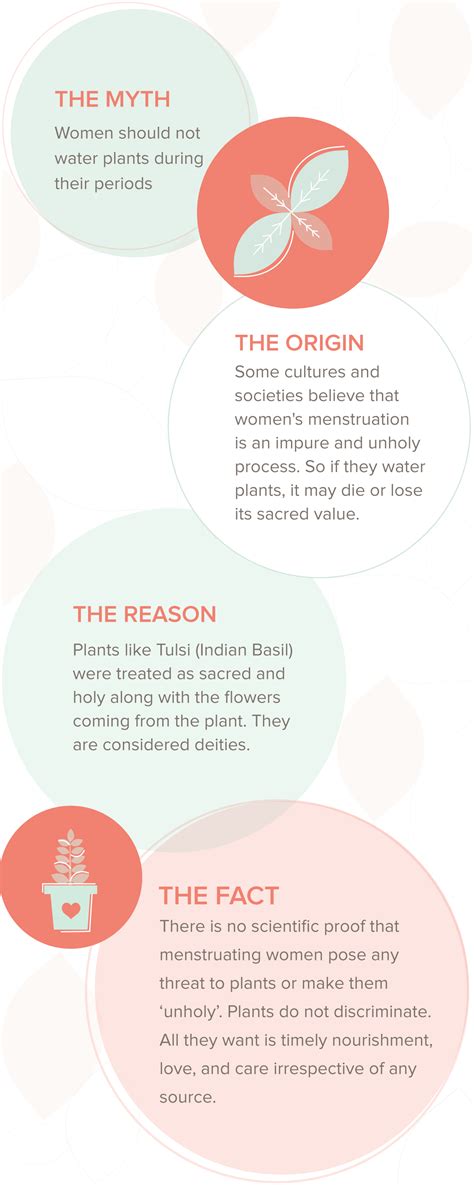 Periods Myth: Women should not water plants like Tulsi - InSync Blog by Nua