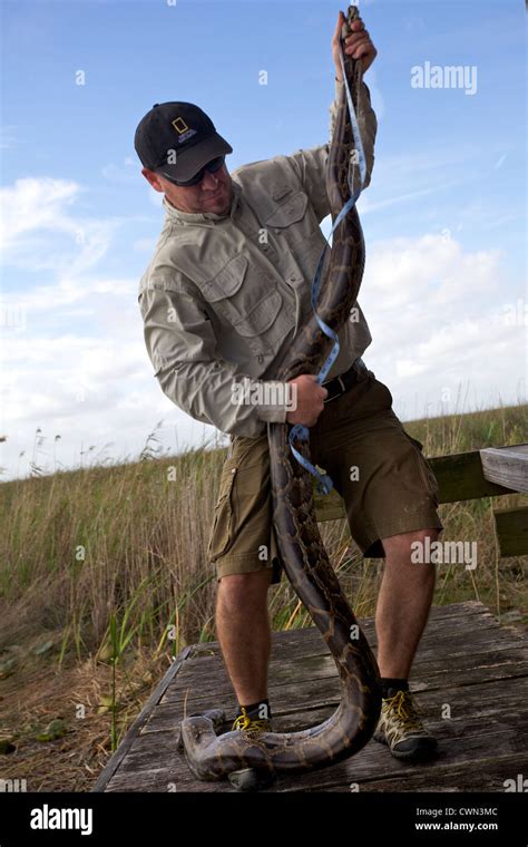 Shawn Python 的图像结果