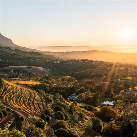 THE WINE RIDE (2026) All You SHOULD Know Before Going (with Photos)