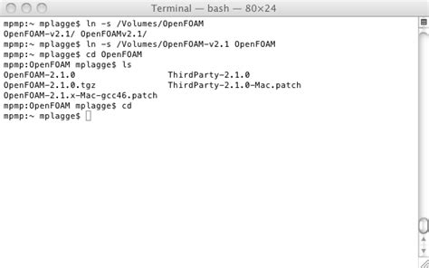 OpenFOAM Installation 的图像结果