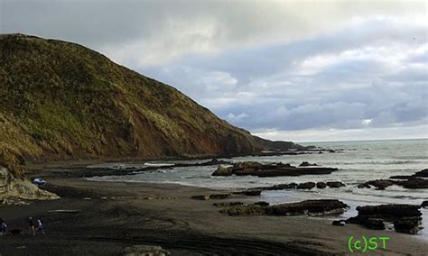 Port Waikato Tourism (2023): Best of Port Waikato, New Zealand ...