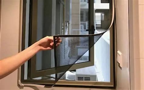 Termites at Windows 的图像结果