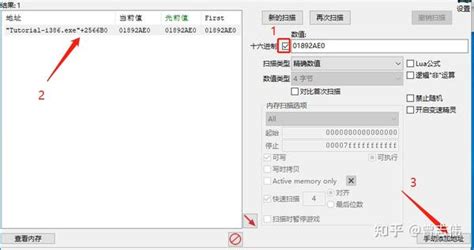 Cheat Engine Tracer Tutorial 的图像结果