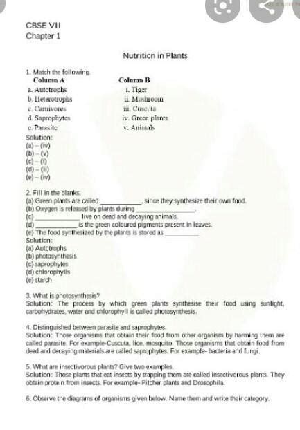 worksheet of science chapter 1 class7 - Brainly.in