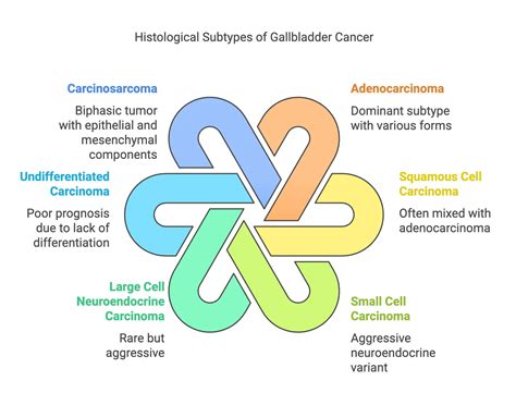 Image result for Gallbladder Cancer