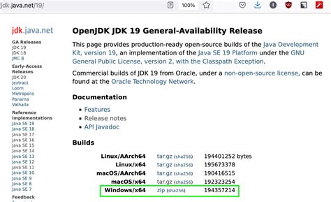 How to install Java 19 (OpenJDK 19) on Windows