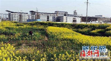 普宁杨锡波白宫别墅普宁杨锡波案件2022已更新今日推荐