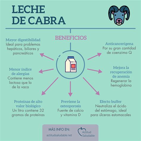 Leche De Cabra Para Que Sirve , Leche de Cabra: Descubre las ...