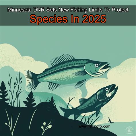 Minnesota DNR Sets New Fishing Limits To Protect Species In 2025 ...
