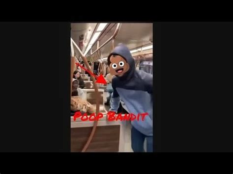 Image result for Poop Bandit