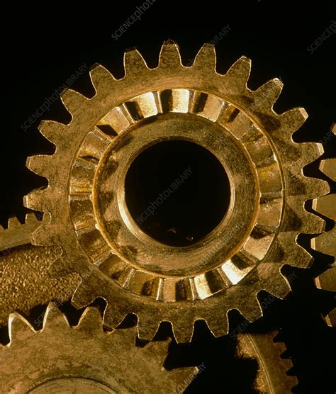 Image result for CSEC Cogs