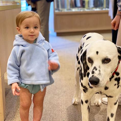 OAK HALL - Memphis TN - Hours, Directions, Reviews - Loc8NearMe