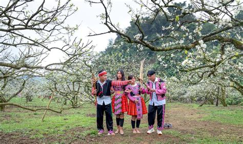 Image result for Find Music Using UPC Code