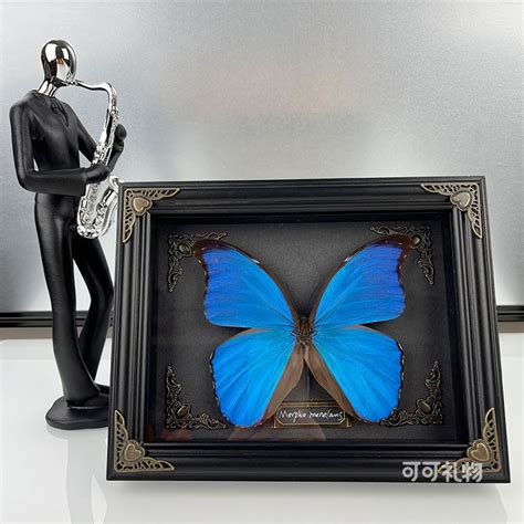 成人礼物送什么呢最新素材