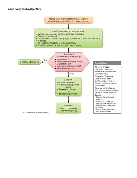 Image result for ACLS Bradycardia Algorithm
