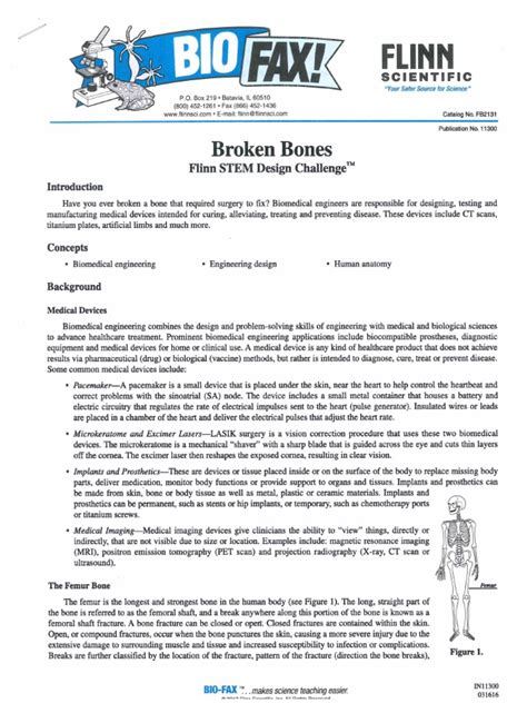 Image result for Magic Bone Lesson Plan