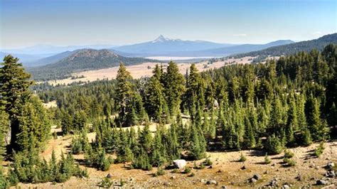 Crater Lake Trolley (Crater Lake National Park) - 2022 What to Know ...