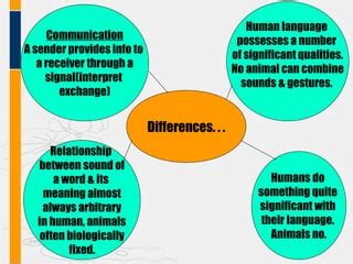 Types of Language Human 的图像结果
