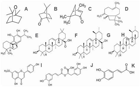 Rosmarinus officinalis L. (Rosemary): An Ancient Plant with Uses in ...