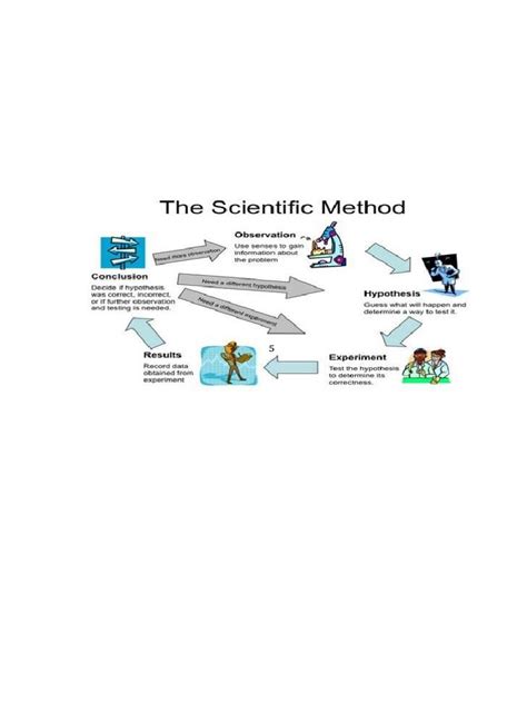 Image result for Scientific Method Experiment
