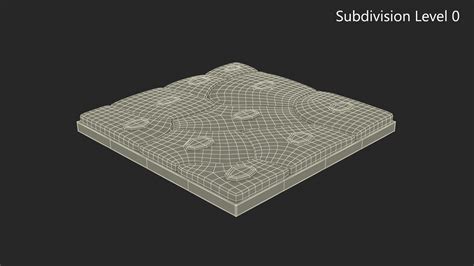Squamous Epithelium 3D model | 3D Molier International