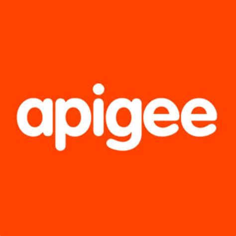 Image result for Apigee Icon