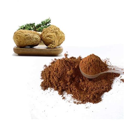 Image result for Maca Root Extract